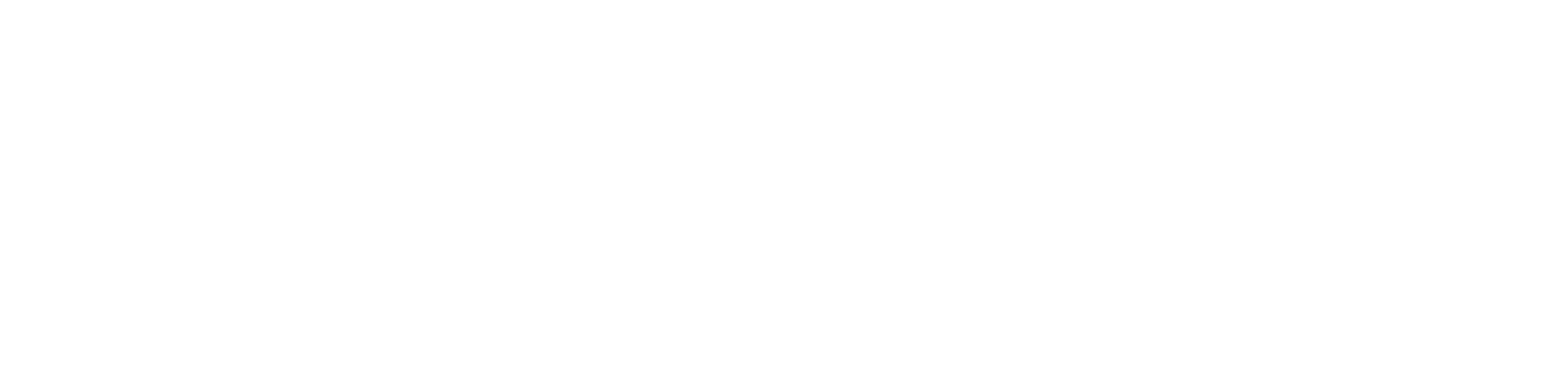 Fincora logo